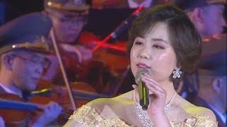 朝鲜庆祝祖国解放战争胜利70周年文艺演出——中国歌曲联唱 2023.7.27