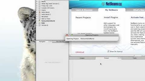 Python Programming "Hello World"