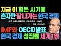 IMF OECD 발표 한국 경제성장률 압도적 세계1위 l  이 시국에 혼자 너무 잘 나가는 한국 경제
