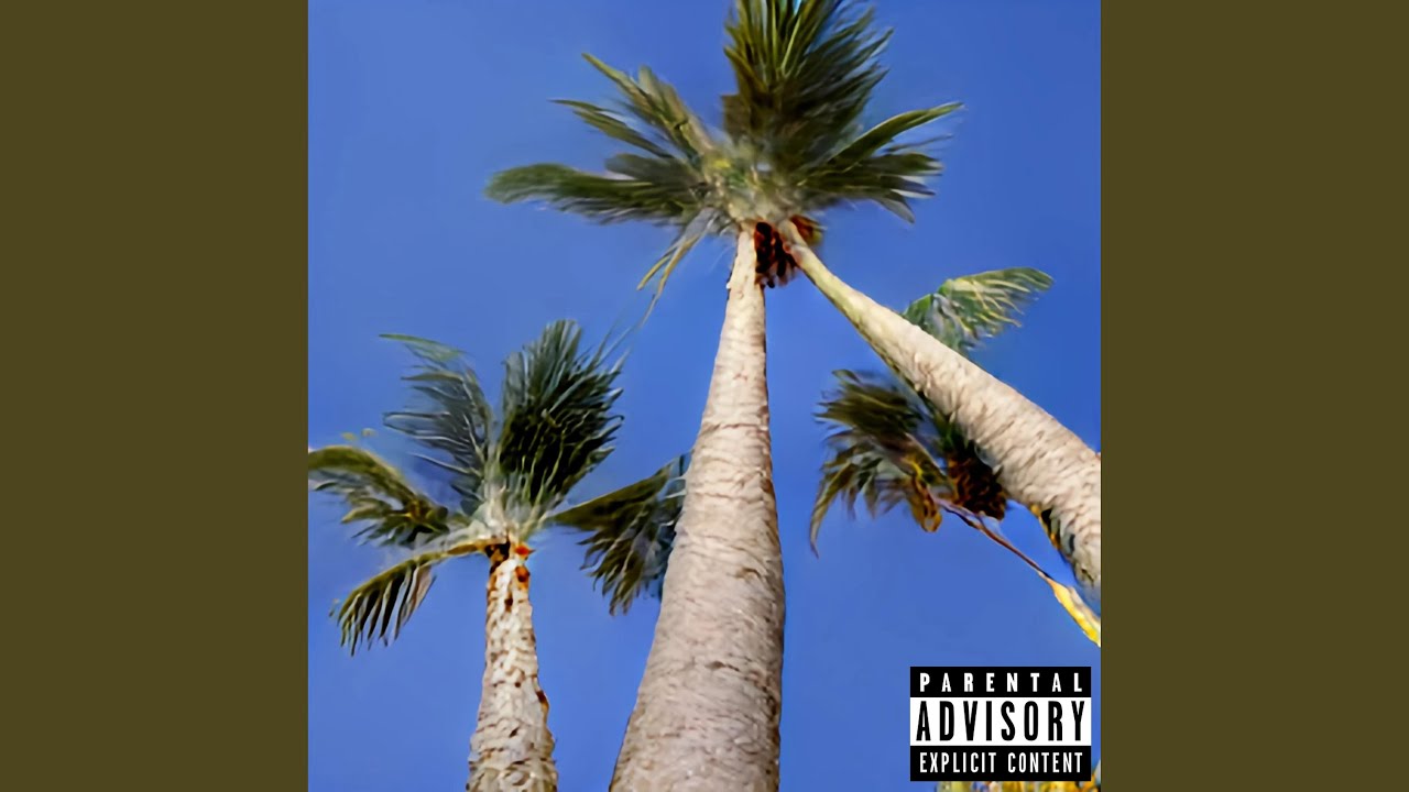 Guarda Palm Trees su YouTube Guarda Palm Trees su YouTube