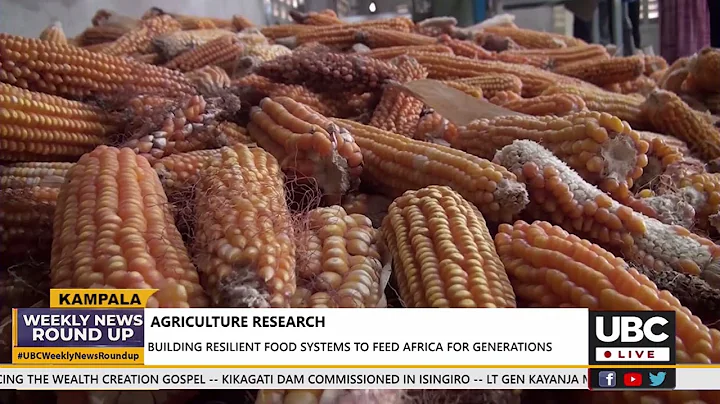 AGRICULTURE RESEARCH BOOSTING FOOD AND NUTRITION SECURITY IN AFRICA#ASERECA