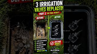 Old Sprinkler Valve Box Rebuild | 3 Valve Replacement Transformation