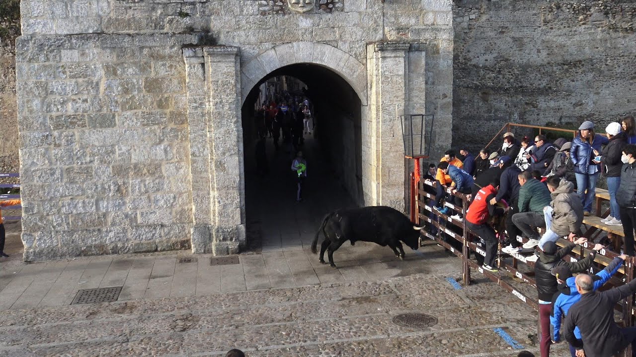 Ciudad Rodrigo 2022 Encierro del domingo