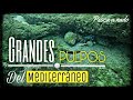 Pesca Submarina PULPOS Grandes enrocados.