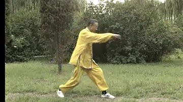 Song-style Xingyi Quan Brief introduction 
