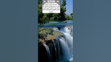 سورة العصر #alquran #قرآن_كريم #المصحف #اكسبلور