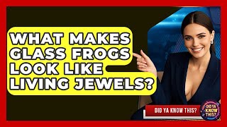 Watch Frogs Jewels video