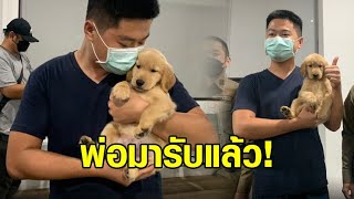 พ่อมารับแล้ว! 'น้องโกลเดน มูมู่' อดเป็นหมา K9 ตั้งชื่อจีน 'กวยกวย' ชื่อฝรั่ง 'นาตาชา โรมานอฟ'