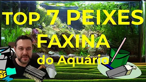 Qual o pH para o peixe limpa vidro?