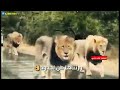 اغنية احنا الهيبة من الله