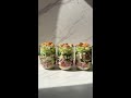 Salad Grinder Jars