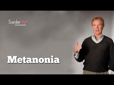 What is metanoia? by Peter Senge, Author of The Fifth Discipline