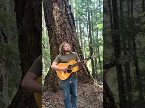 Mike Frazier — “Lament For Mother Earth” out now! #songwriter #folksong #acousticguitar