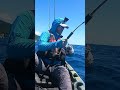 Offshore Kayak Fishing: Drag SCREAMER in Panama! #Shorts