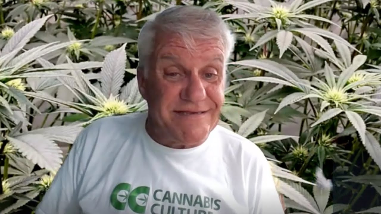 The THC show with Glenn Wells - Episode 295