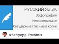 Русский язык. Орфография: Непроверяемые безударные гласные в корне. Центр онлайн-обучения «Фоксфорд»