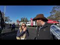 Middle of video