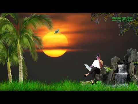 ساز و آوازی از آلبوم در خیال بیات ترک محمدرضا شجریان بهداد بابایی