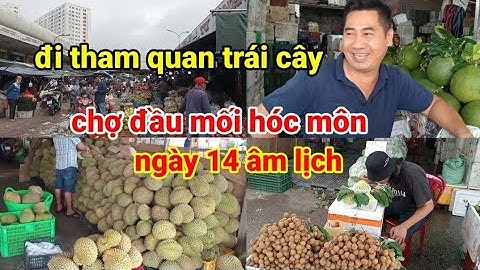 Đi tham quan chợ đầu mối hóc môn ngày 14 âm lịch có gì hót nhé 03/11/2025