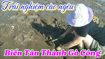 Trải nghiệm cào nghêu tại biển Tân Thành Gò Công Tiền Giang