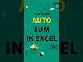 How to Use AutoSum in Excel | Excel में AutoSum कैसे करे | #excel #tricks #excel tips #shorts #video