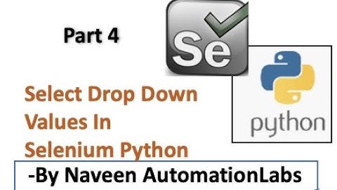 Select Drop Down Values in Selenium Python - Part 4