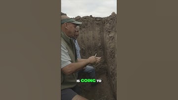 Shanking in Calcium for a future California orchard #soilhealth #regenerativefarming #sustainability