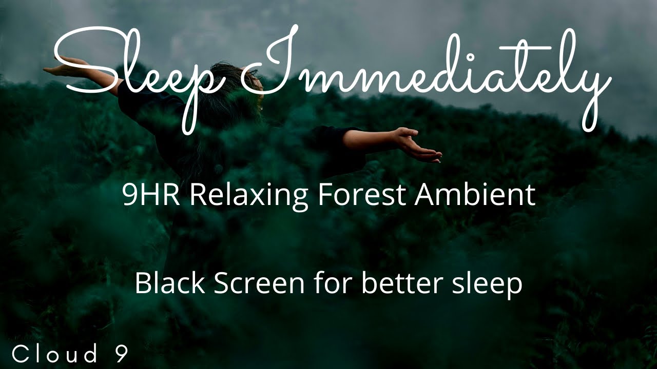 🧲9HRs of RELAXING FOREST AMBIENT with Black Screen to Help you sleep fast, relax, meditate, study