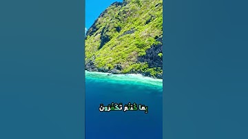 سورة الأحقاف و،.كا.؛نك تسمعها لأ،،و.ل مر.ة❤️🌻؛،🌺💛؛،💜💮💔بصوت الشيخ حمزة مدبو.ح 🌸💕،؛💝..🌹❤️؛💓،.💕💗