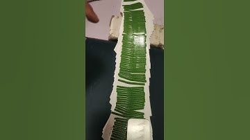 GS series Crash Lock Bottom Conical box Folder Gluer Rolam