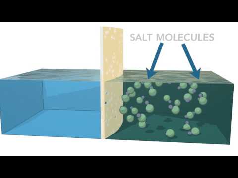 Video: Dit Is Waarom U Een Waterfilter Met Omgekeerde Osmose Bij U Thuis Nodig Heeft