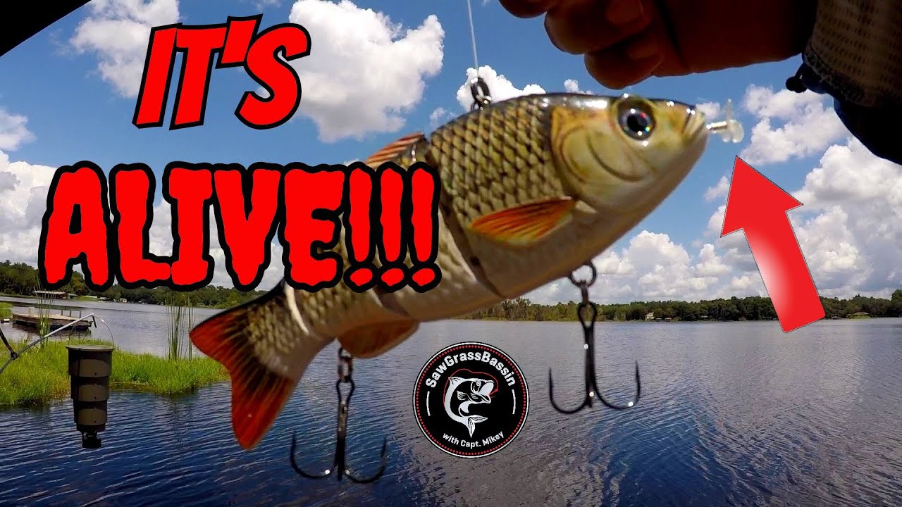 ROBOTIC LURE vs REAL LIVE BAIT!! Bass Fishing Challenge!! (Giant