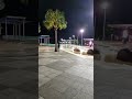 Mothers Day on Cairns Esplanade