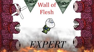 Terraria: Wall of Flesh (EXPERT)