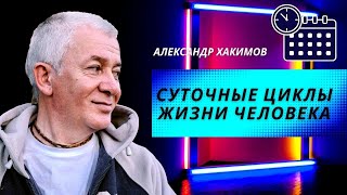 Суточные циклы жизни человека. Режим дня. Александр Хакимов