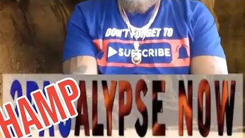 #HAMPOCALYPSE : #HAMPDOOM CONQUERS THE #ALGOITHM