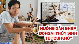 Top 7 cách làm cây lũa bonsai mới nhất năm 2022