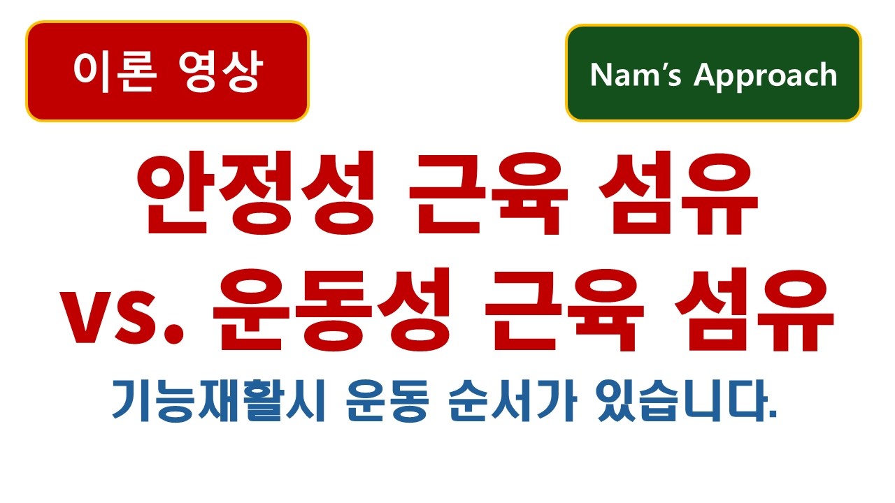 (이론 영상) 안정성 근육 섬유 vs. 운동성 근육 섬유 (feat. 기능 재활시 운동 순서가 있습니다.). 동탄 바로본신경외과 남준록 원장.