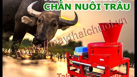 Băm cỏ làm thức ăn cho bò, bằng máy băm đa năng takyo tk 3000 sử dụng điện 1 pha 220v
