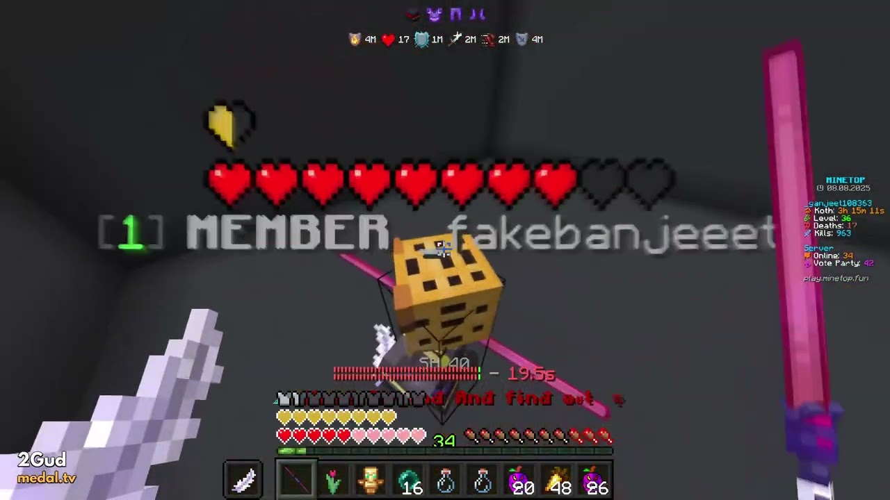 Yes I am 2Gud - Minetop Lifesteal 