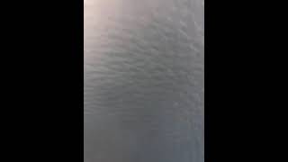 81430612723  7A241CFE DD23 405D AF08 D0E3353FFF3C