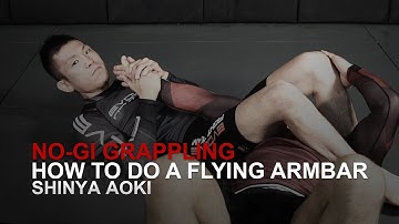 ONE Superstar Shinya Aoki