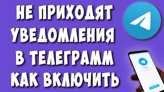 Почему не Приходят Уведомления в Телеграмме - Как их Включить на Телефоне Андроид