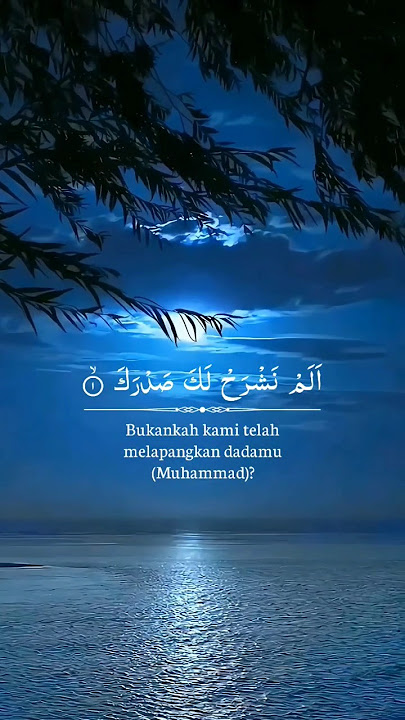 Surah Al-Insyirah | Muhammad Thaha Al-Junaid #alinsyirah #murrotalmerdu #shorts