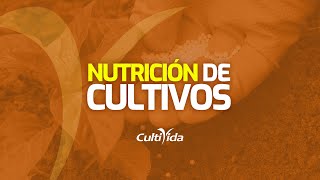 🌳NUTRICIÓN🌳 DE CULTIVOS [FISIOLOGIA]