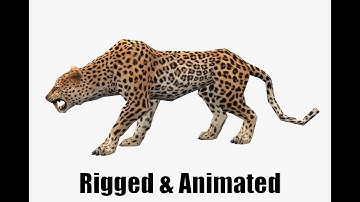 Low-Poly Animated 3D Leopard
