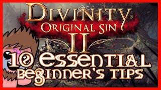 Divinity Original Sin 2 - 10 Essential Beginners Tips