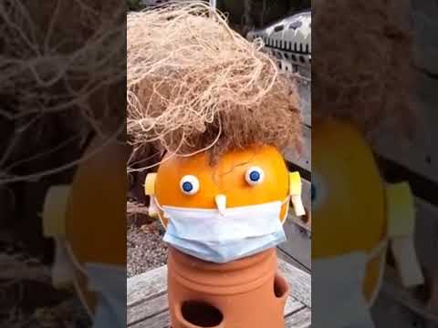 The Trumpkin #shorts