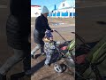 Вышли на прогулку #жизнь #топ #рек #волгоград #виталикинаташа