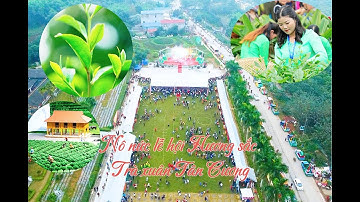 Nô nức lễ hội Hương sắc Trà xuân Tân Cương